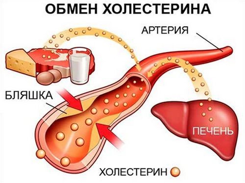 holesterinovaya_dieta_menyu_na_nedelyu-2