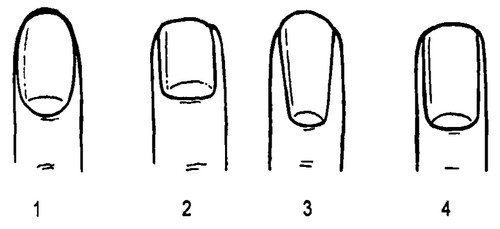 Характер по формі нігтів у чоловіків: Як визначити характер чоловіка по нігтях